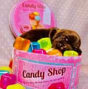 Candy1