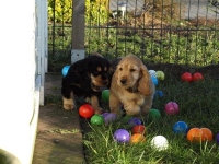 Coco und Campino